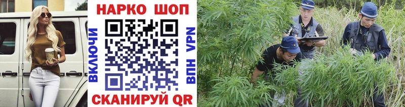 МЕФ Боготол