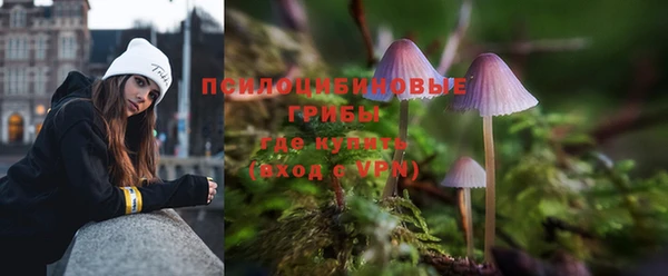 spice Балабаново