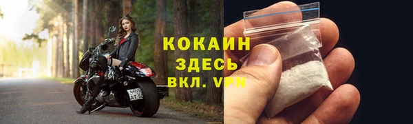 стаф Балахна