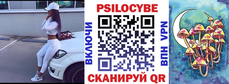 купить закладку  Боготол  Галлюциногенные грибы Psilocybe 